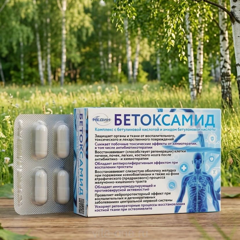 БЕТОКСАМИД (Бетоксовит) с бетулоновой кислотой 30 капсул