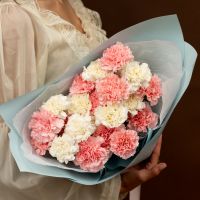 Диантусы микс 25шт