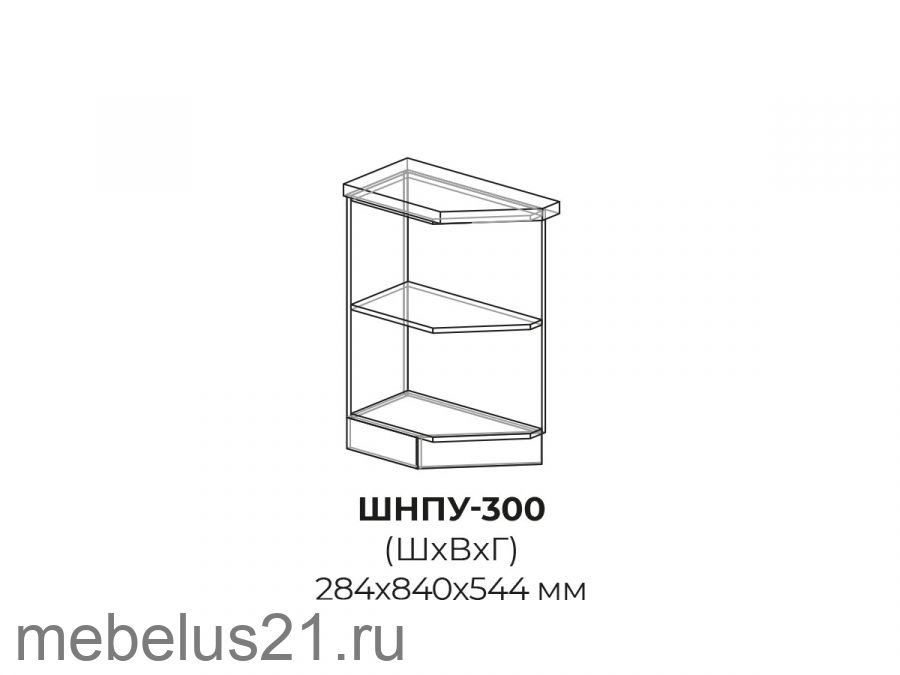 Модуль торцевой ШНТ300