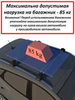 Багажник на Тенет Т8 (Tenet T8), на интегрированные рейлинги, Turtle Air 2 Go!, черные дуги (Подрезан под размер)