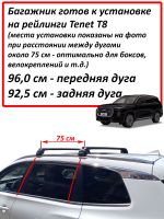 Багажник на Тенет Т8 (Tenet T8), на интегрированные рейлинги, Turtle Air 2 Go!, черные дуги (Подрезан под размер)
