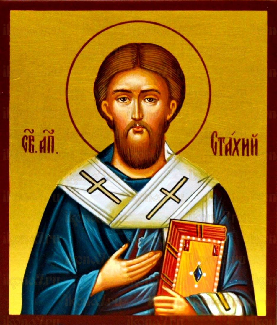 Стахий апостол Византийский рукописная Икона на липовой доске (22906)