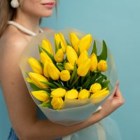 Тюльпан желтый 25 шт