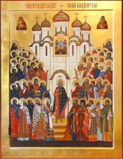Собор Владимирских святых икона рукописная на липовой доске (24223)