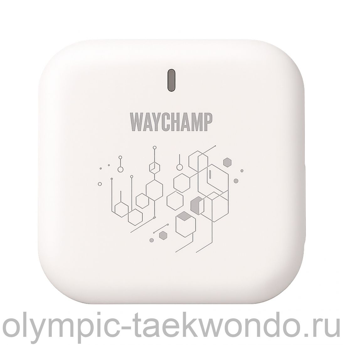 Ресивер (приёмник) электронный WAYCHAMP BLUETOOTH TRANING