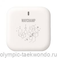 Ресивер (приёмник) электронный WAYCHAMP BLUETOOTH TRANING