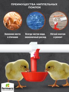 Чашечная система поения НП26 25см с канистрой 5л, комплект поилка в сборе