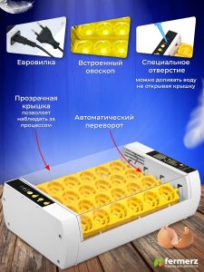 Инкубатор Эйч-эйч-ди (HHD)на 24 яйца с овоскопом, автоматический переворот