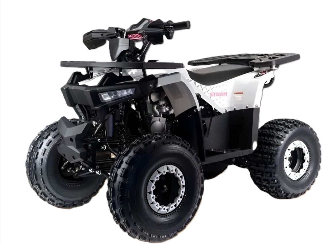 Квадроцикл MOTOLAND Storm A 125
