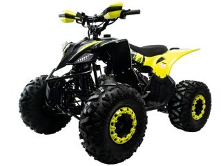 Квадроцикл MOTOLAND Vox 125 Raptor
