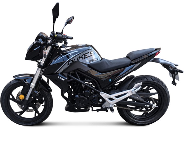 Дорожный мотоцикл TMBK Dukes PRO 250cc