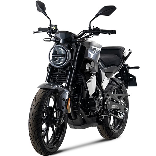 Дорожный мотоцикл TMBK MONTANA 250 (165 FMM)