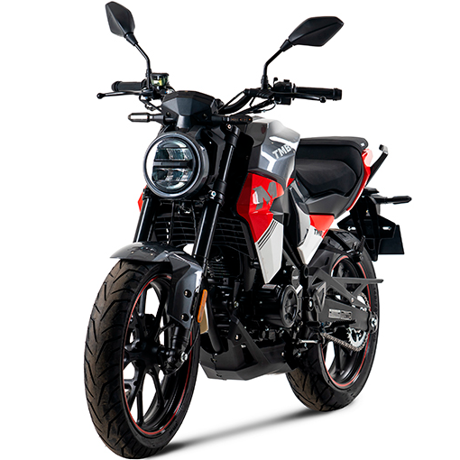 Дорожный мотоцикл TMBK MONTANA 250 NG (172 FMM)