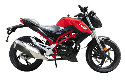 Дорожный мотоцикл TMBK Dukes 200cc