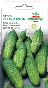 Огурец Голубчик F1 , СеДек