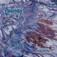 DYSENTERY - Dejection Chrysalis