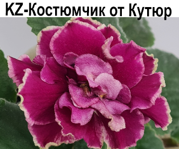 KZ-Костюмчик от Кутюр (Заикина)