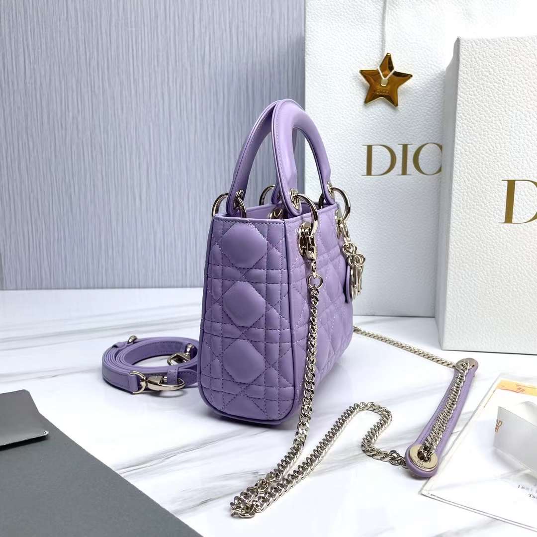 Lady Dior micro 17cm
