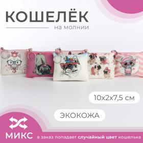 Кошелёк на молнии, цвет МИКС