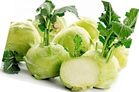 ..Капуста Кольраби