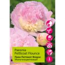 Пион молочноцветковый Петтикот Флаунс 1шт/Paeonia Petticoat Flounce