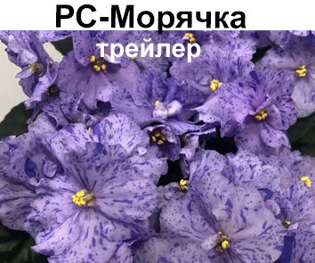 РС-Морячка (Репкина)