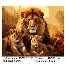 Картина по номерам на  подрамнике PWA0017 с цветным холстом