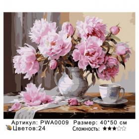 Картина по номерам на  подрамнике PWA0009 с цветным холстом