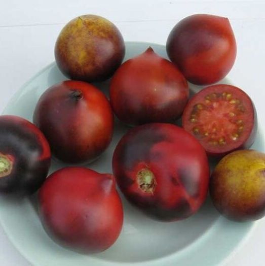 Томат H-34 Rot, 50шт семян