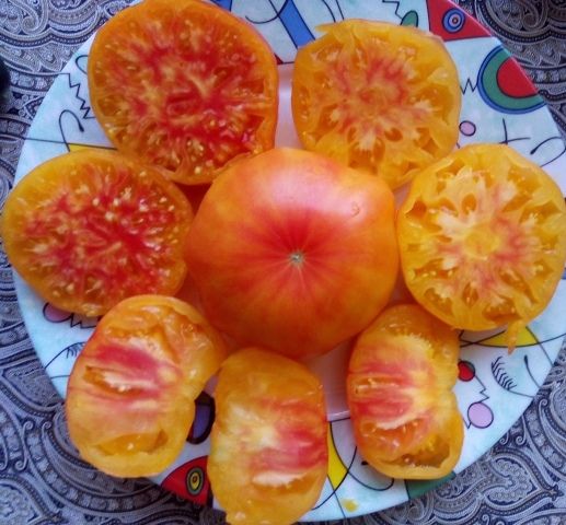 Томат Жёлтый камень, 50шт семян