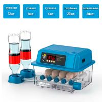 Инкубатор на 12 куриных яиц, с резервным питанием, автоматическим переворотом