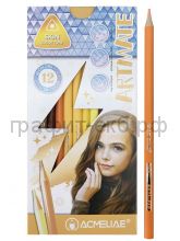 Карандаши цв.12цв.ACMELIAE Skin Artmate телесные цвета 8802