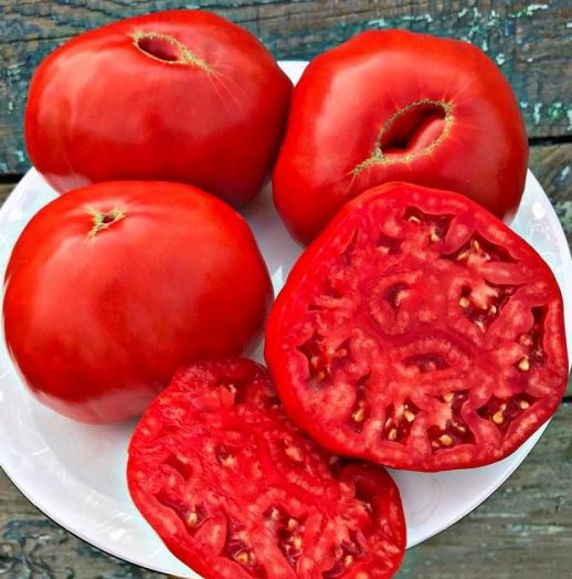 Томат Итальянский гигант миссис Бот, 50шт семян