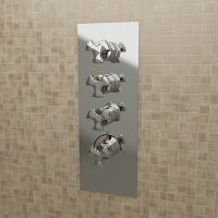 Смеситель Flaminia Evergreen Concealed Thermostatic Shower Mixer 3-Outlets схема 1