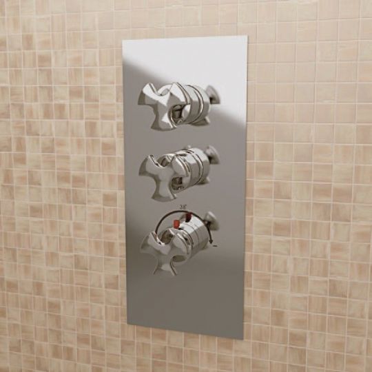 Фото Смеситель Flaminia Evergreen Concealed Thermostatic Shower Mixer 2-Outlets