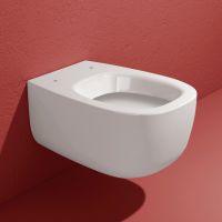 Унитаз Flaminia Bonola Wall Hung WC схема 1