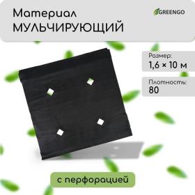 Материал мульчирующий, с перфорацией, 10 ? 1,6 м, плотность 80 г/м?, спанбонд с УФ-стабилизатором, чёрный, Greengo, Эконом 30%