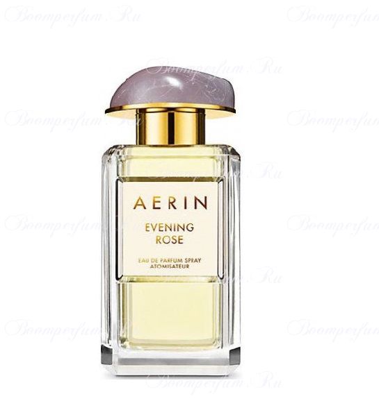 Aerin Evening Rose