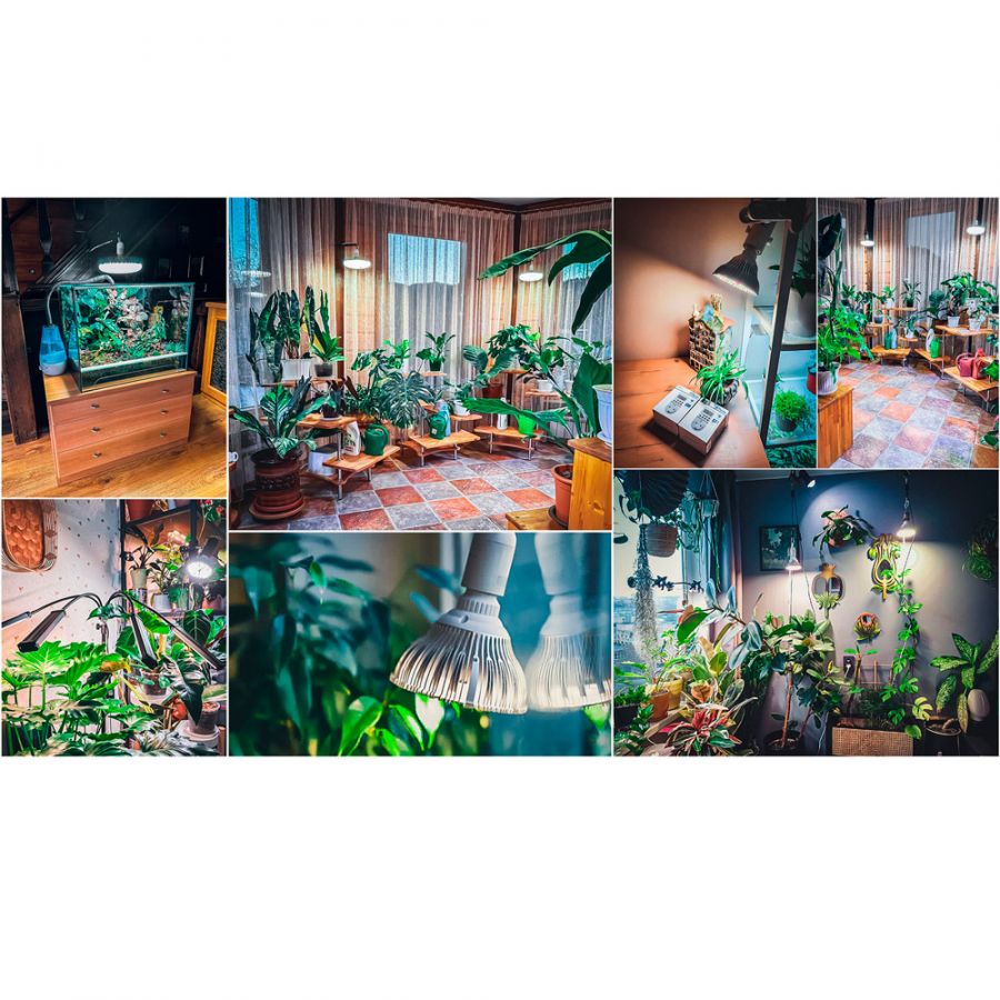 Фитолампа светодиодная МИНИФЕРМЕР Е27 SMD 25W (спектр на выбор)