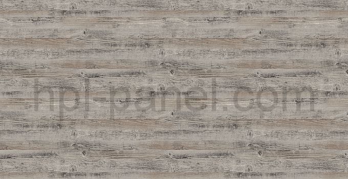 8120 Pino multicolore