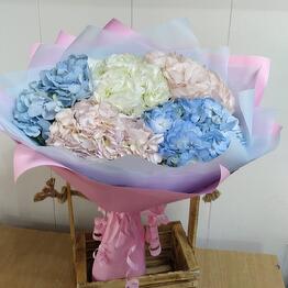 Букет из цветных Гортензий