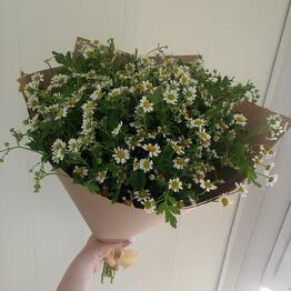 Букет из матрикарии