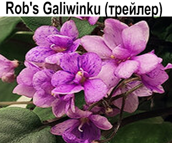 Rob's Galiwinku (Робинсон)