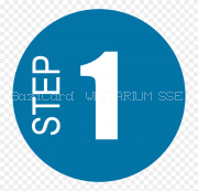 1.  Регистрации Эдемирсианина