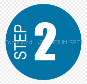 2. Первичная диагностика элотационной модели