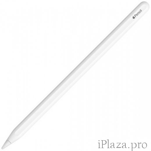 Apple Pencil Pro (2024)