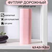 Футляр для зубной щётки и пасты, 19,5?6,5?4,5 см, цвет МИКС