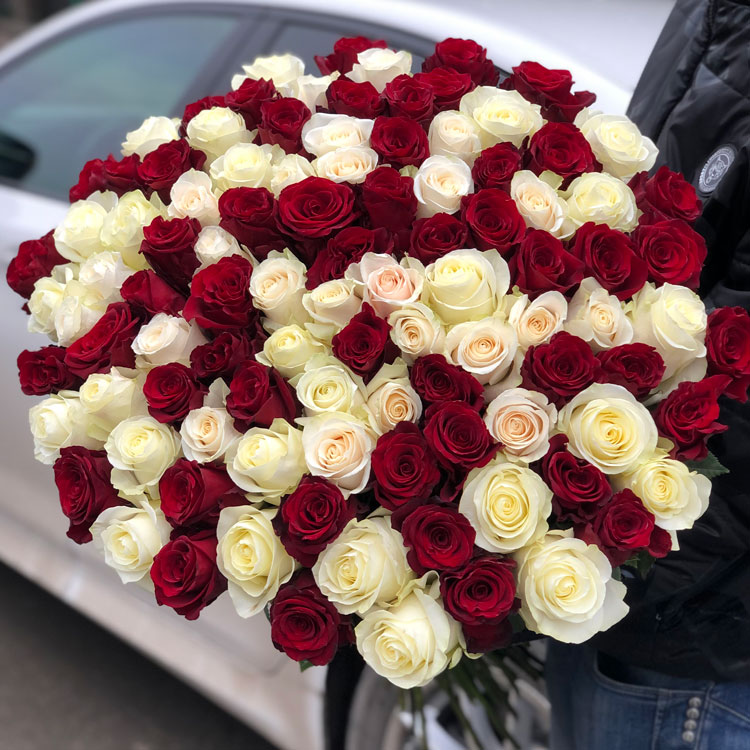 Букет из 101 красной и белой розы
