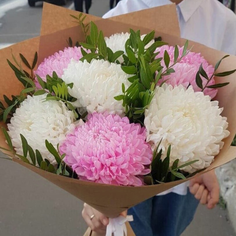 Хризвнтема