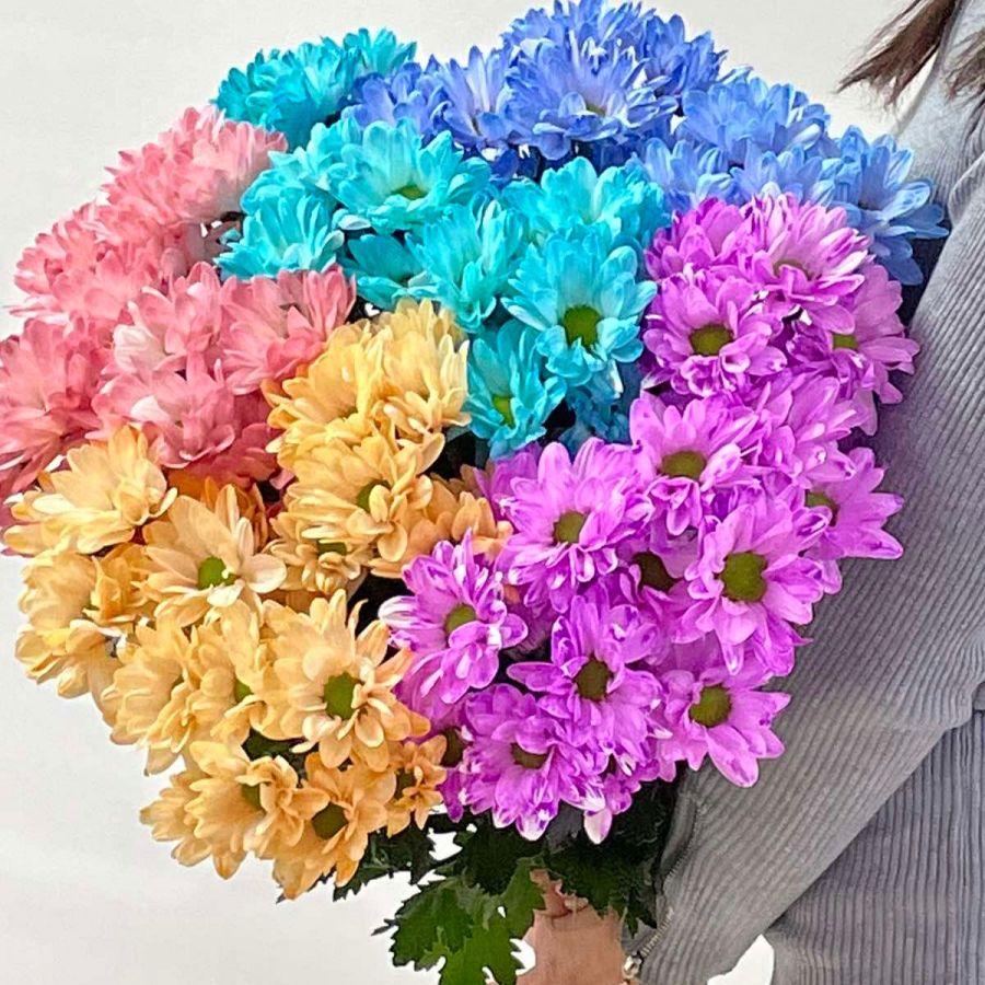 15 хризантем микс